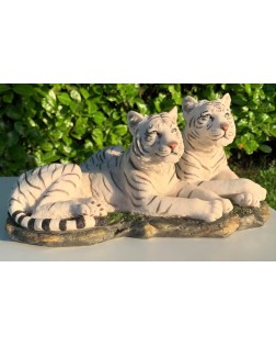 Witte Tijger Koppel in Hars