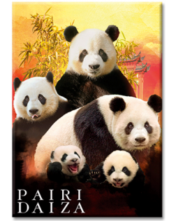 Magnet Métal Famille Pandas