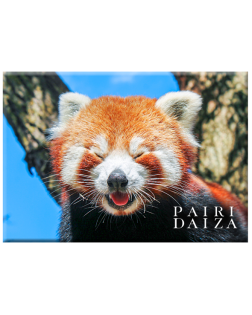 Magnet Métal Panda Roux Fun