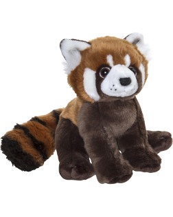 Panda Roux Plan Large