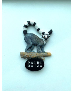 Magnet Résine Lémurien