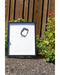 Authentieke Voetafdruk Van Giraffe - Masika