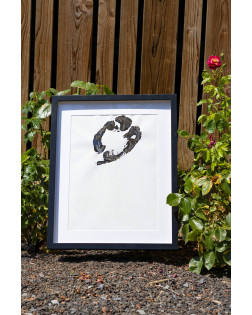 Authentieke Voetafdruk Van Giraffe - Polé