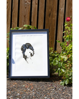 Authentieke Voetafdruk Van Giraffe - Polé 2