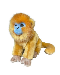 Singe Doré Plan Médium