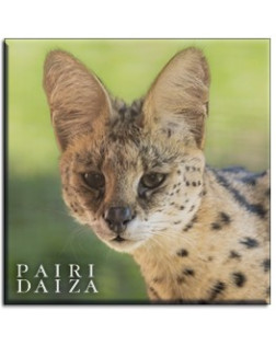 Metalen Magneet Serval
