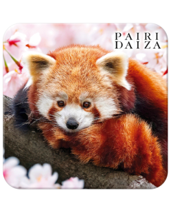 Onderzetter Rode Panda – Lente Collectie