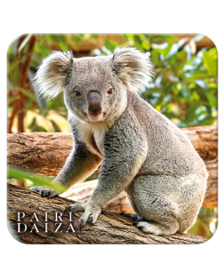 Onderzetter Koala– Lente Collectie