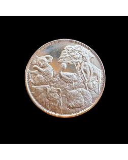 Médaille Souvenir Dorée - Cap Austral