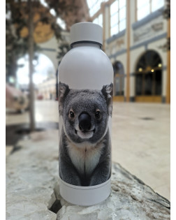 Bouteille Isotherme Koala Design