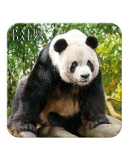 Onderzetter panda – Zomer Collectie