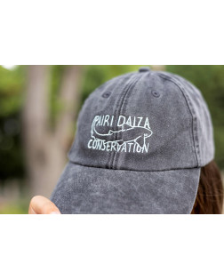 Casquette Requin Zèbre