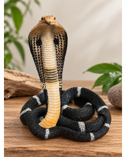 Résine Cobra Royal